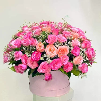 Blushing Petals